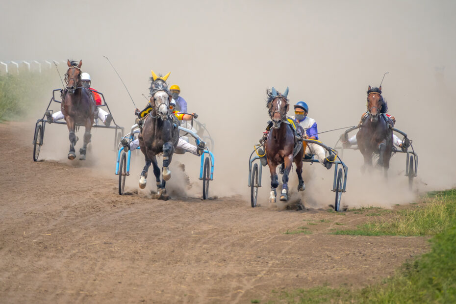 comment gagner au pmu