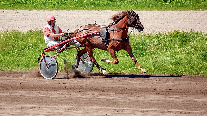 cours turf : astuces