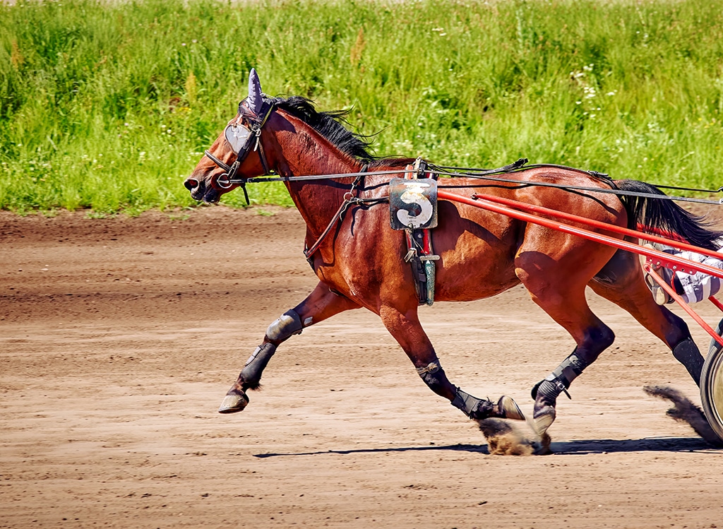 Musique du Trot