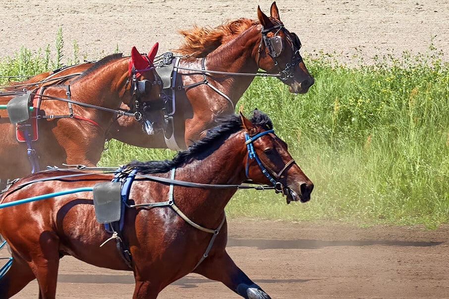 musique du cheval - courses hippiques - turf