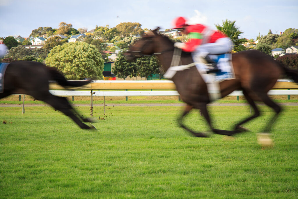 Stratégie pour des paris hippiques réussis