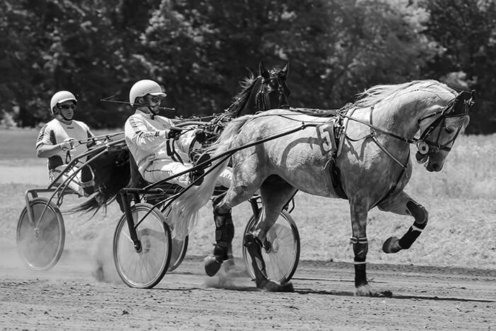 Stratégies de paris aux courses de chevaux