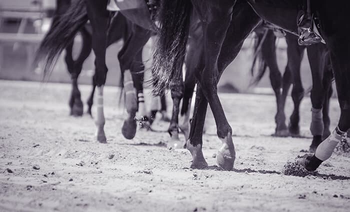 secrets pour un turf rentable